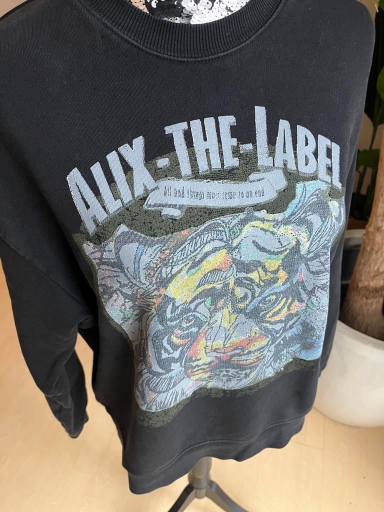 ALIX THE LABEL sweater zo goed als nieuw mt36, Ophalen of Verzenden, Zo goed als nieuw