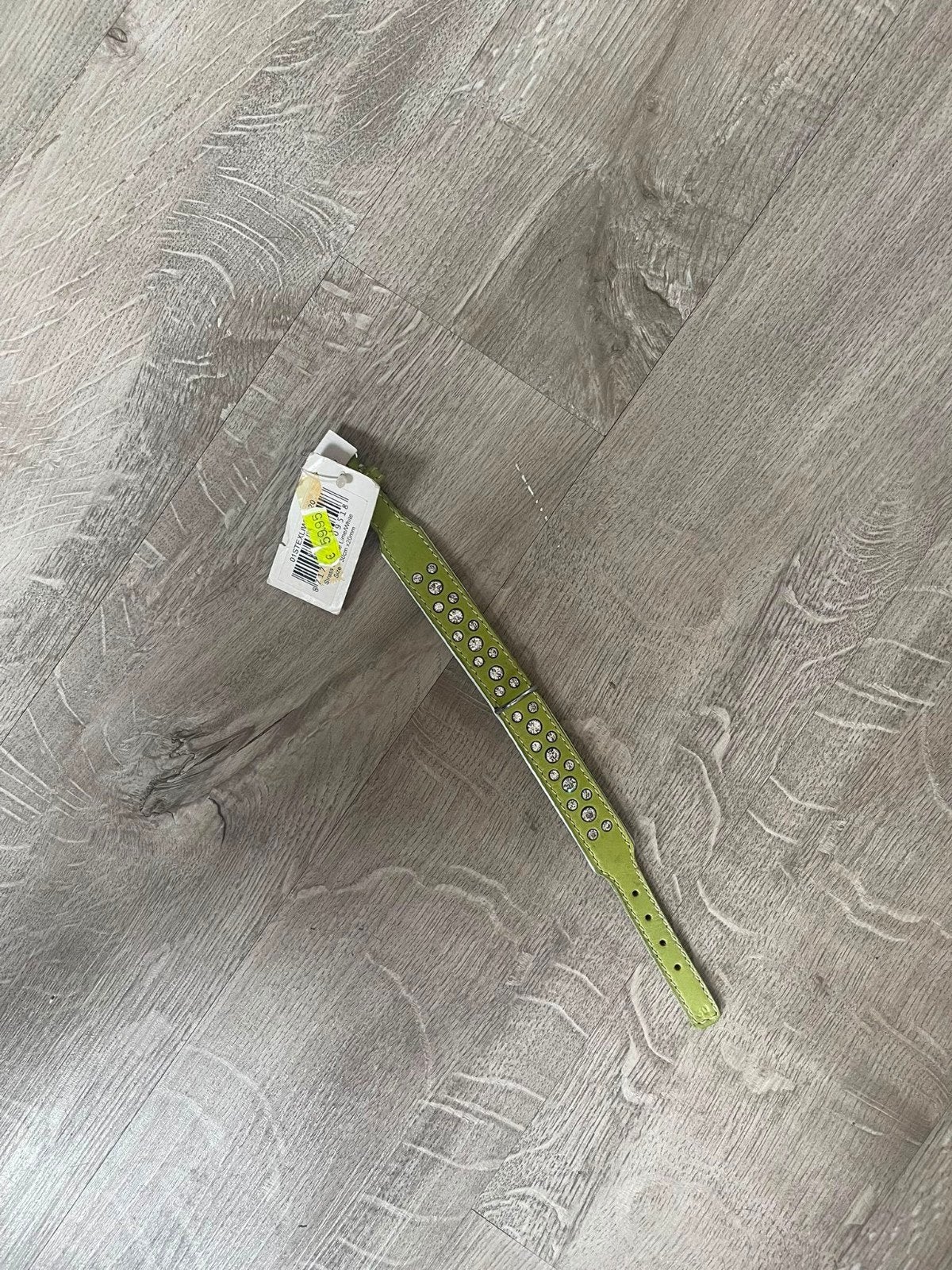 honden halsband, Ophalen of Verzenden, Nieuw