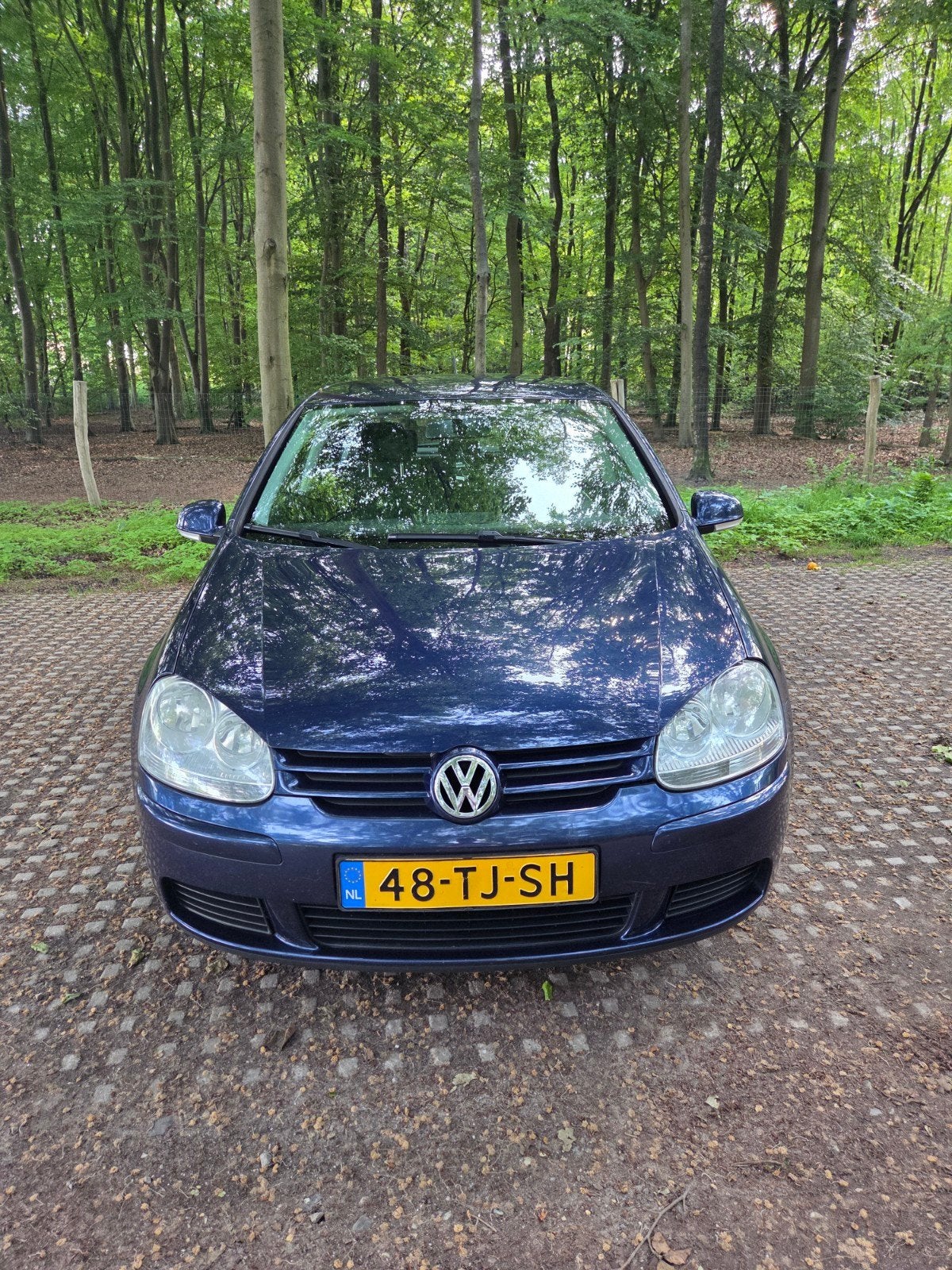 Volkswagen Golf 1.6 16V FSI Optive 85KW 5D 2006 Blauw, Auto's, Voorwielaandrijving, Zwart, 4 cilinders, Blauw