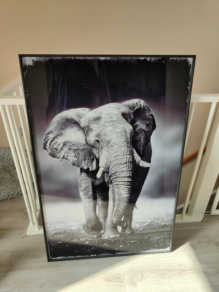 Schilderij van een olifant - Zwart-wit-goud, Ophalen of Verzenden, Zo goed als nieuw, Schilderij, 75 cm of meer