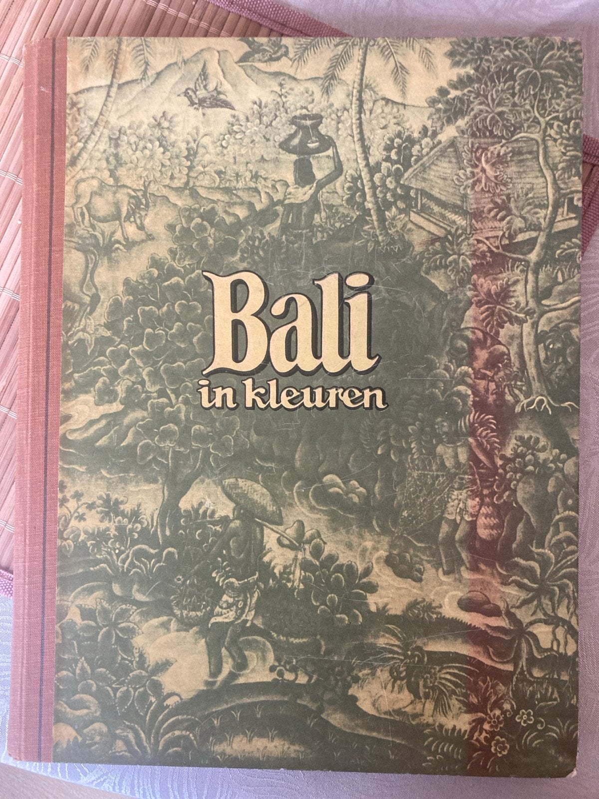 Bali in kleuren - Compleet verzameld boek, Boeken, Reisgidsen, Ophalen of Verzenden, Reisgids of -boek, Azië, Gelezen