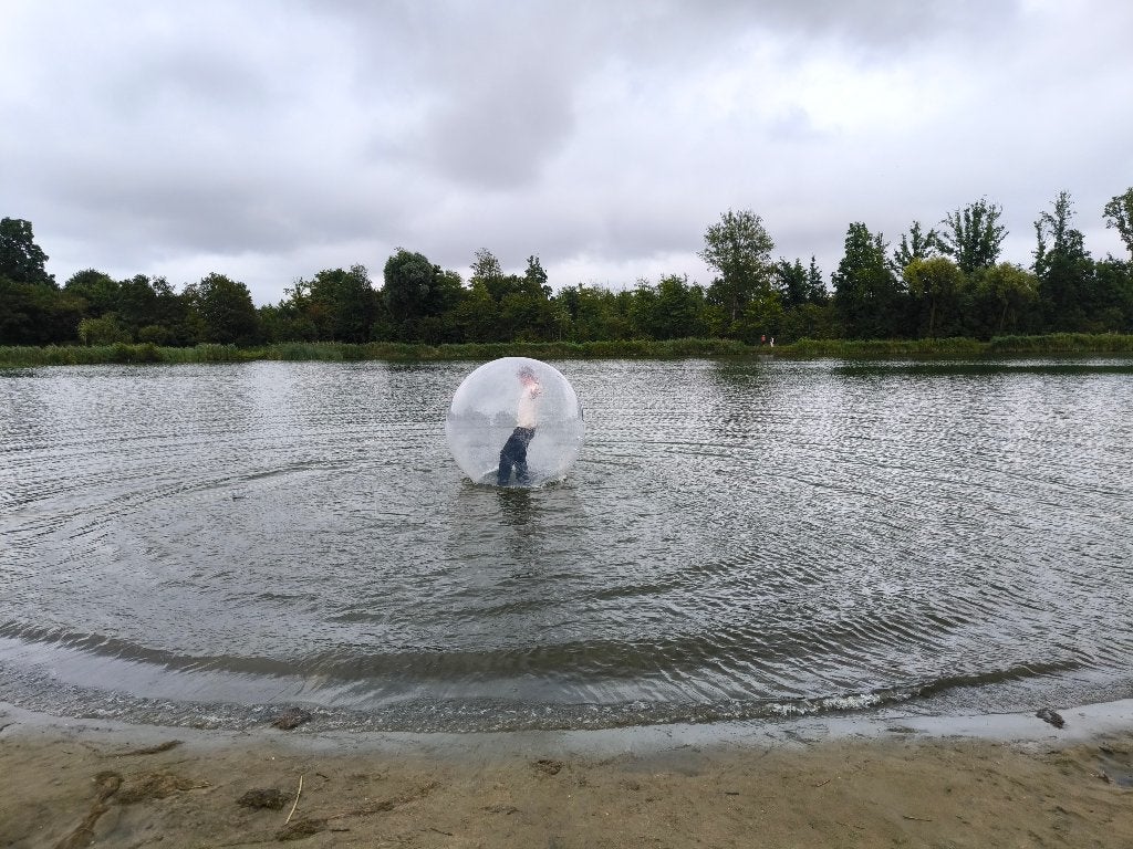 Originele activiteit: Hamsterbal te huur / te koop 2 meter, Ophalen, Zo goed als nieuw