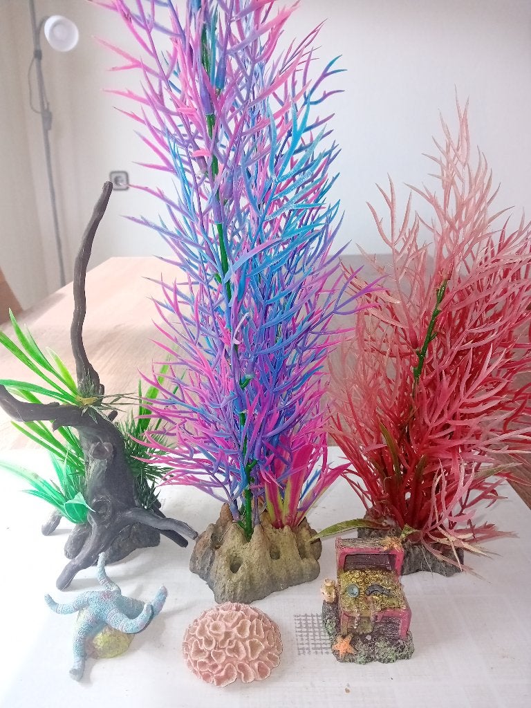 Aquarium decoratie, Ophalen of Verzenden, Zo goed als nieuw, Decoratie