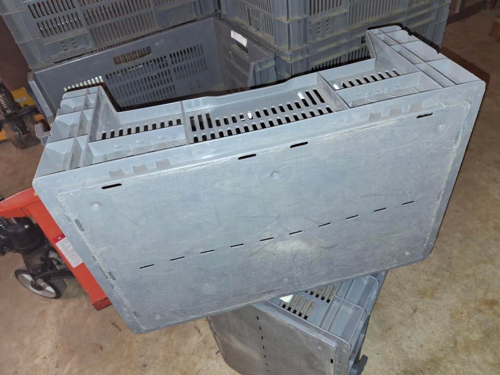 Kunststof Grijpbak/Veiling Kratten Opberg Bakken AGFG Vanaf:, Ophalen, Gebruikt, 40 tot 60 cm, 50 tot 75 cm