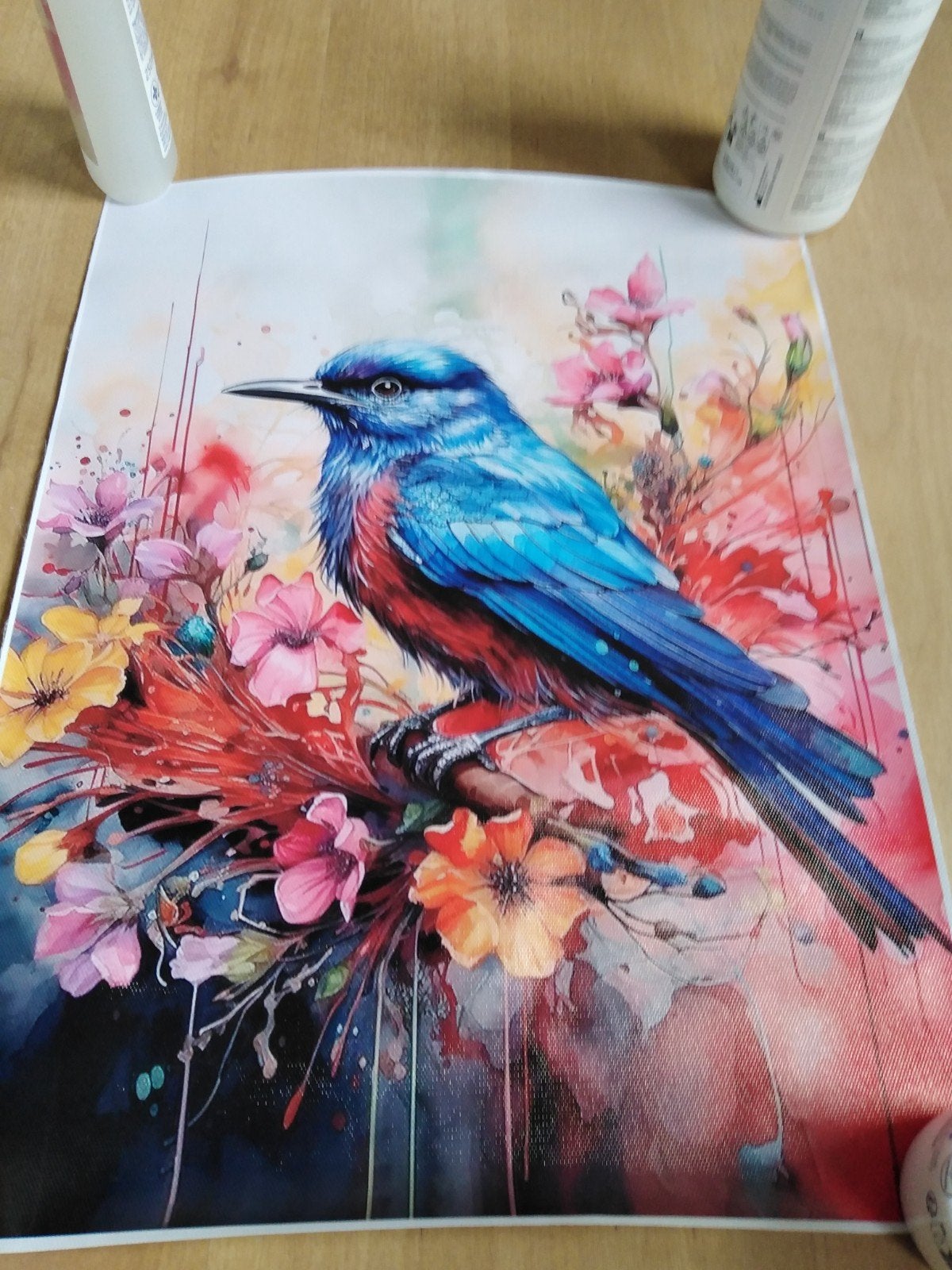 canvas poster vogel, Huis en Inrichting, Minder dan 50 cm, Nieuw, Ophalen of Verzenden, Foto of Poster