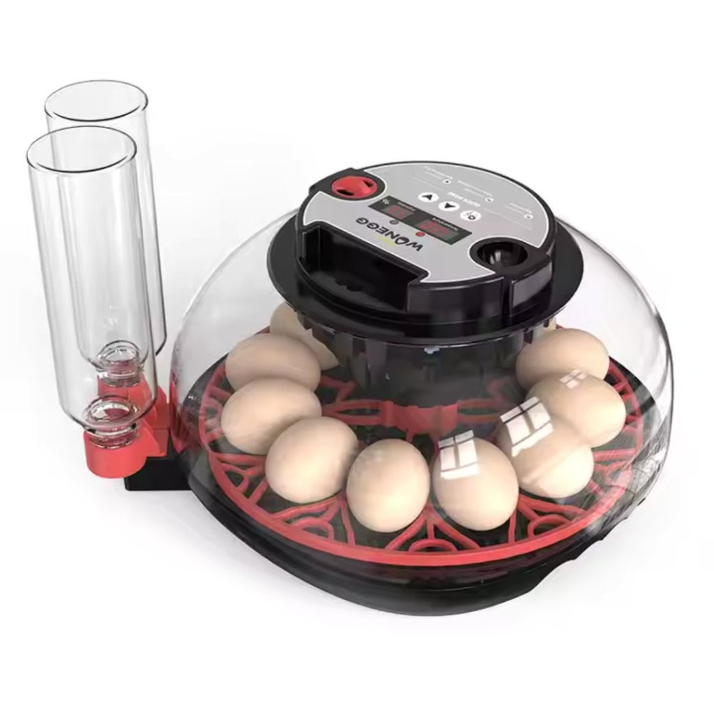 WonEGG Broedmachine M12H (12 eieren), Info@kippenleven.nl, 8624TX, Uitwellingerga, Nieuw, Kippenleven