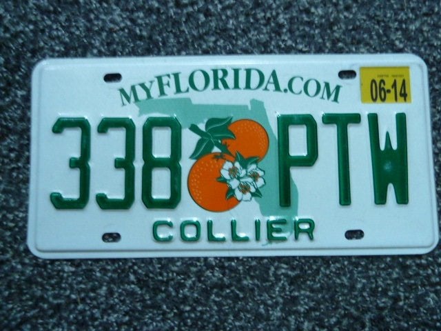 Kentekenplaat licenseplate Florida Collier USA, Verzenden, Gebruikt, Auto's