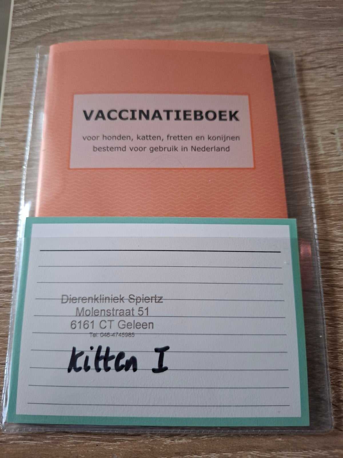 2 kittens, poesjes, Dieren en Toebehoren, Katten en Kittens | Overige Katten, Poes