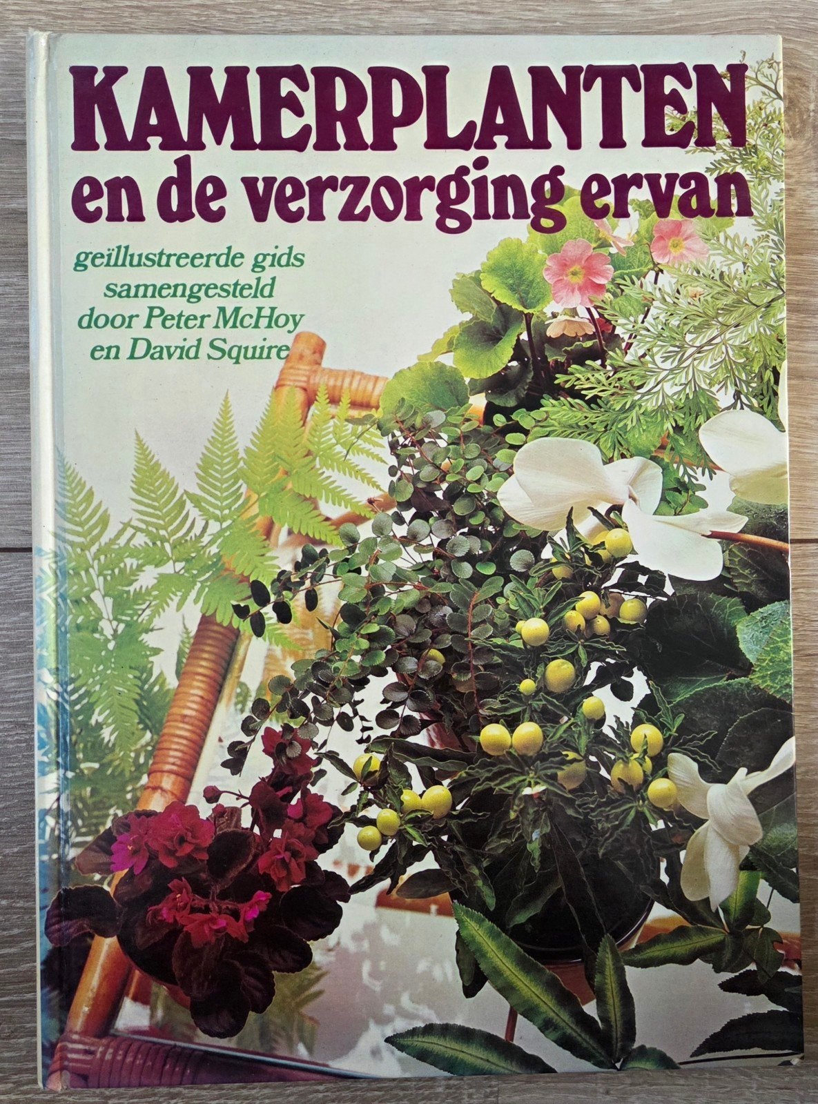 Peter McHoy - Kamerplanten en de verzorging ervan, Peter McHoy, Ophalen of Verzenden, Zo goed als nieuw, Kamerplanten