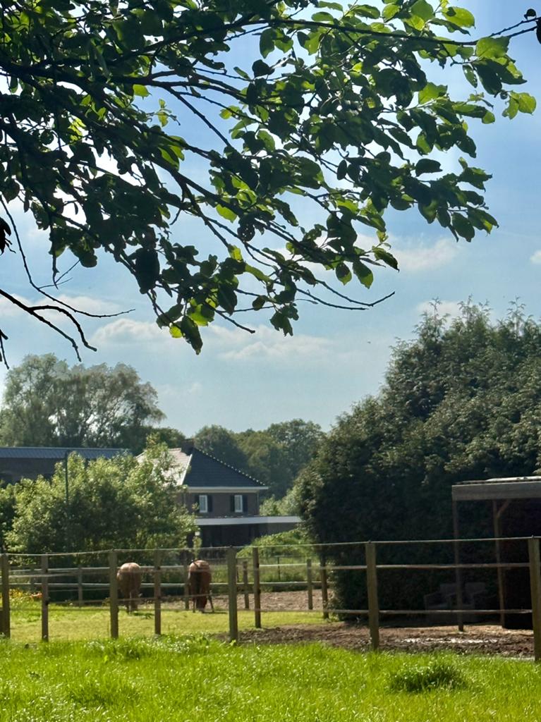 (Schuil)stalling te huur onder eigen beheer ca. 3 /5 paarden, Stalling