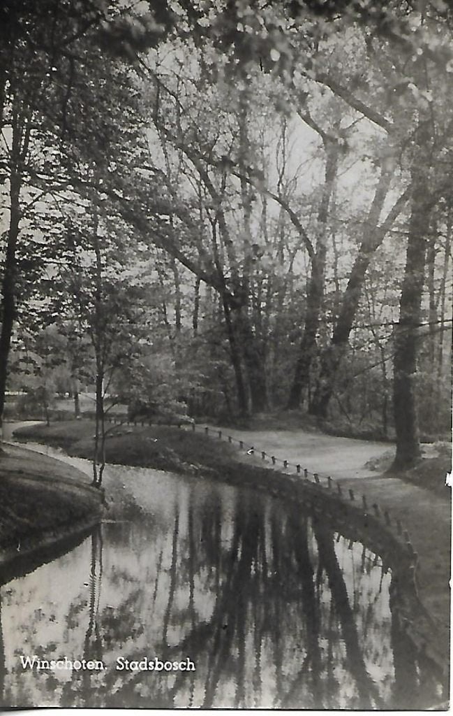 Winschoten- -Stadsbosch., Verzenden, 1940 tot 1960, Gelopen, Groningen