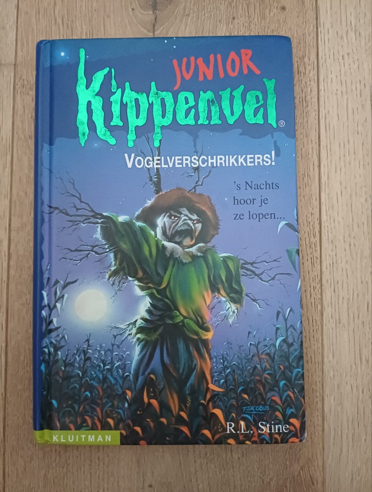 Junior Kippenvel: Vogelverschrikkers! R.L. Stine, Boeken, Ophalen of Verzenden