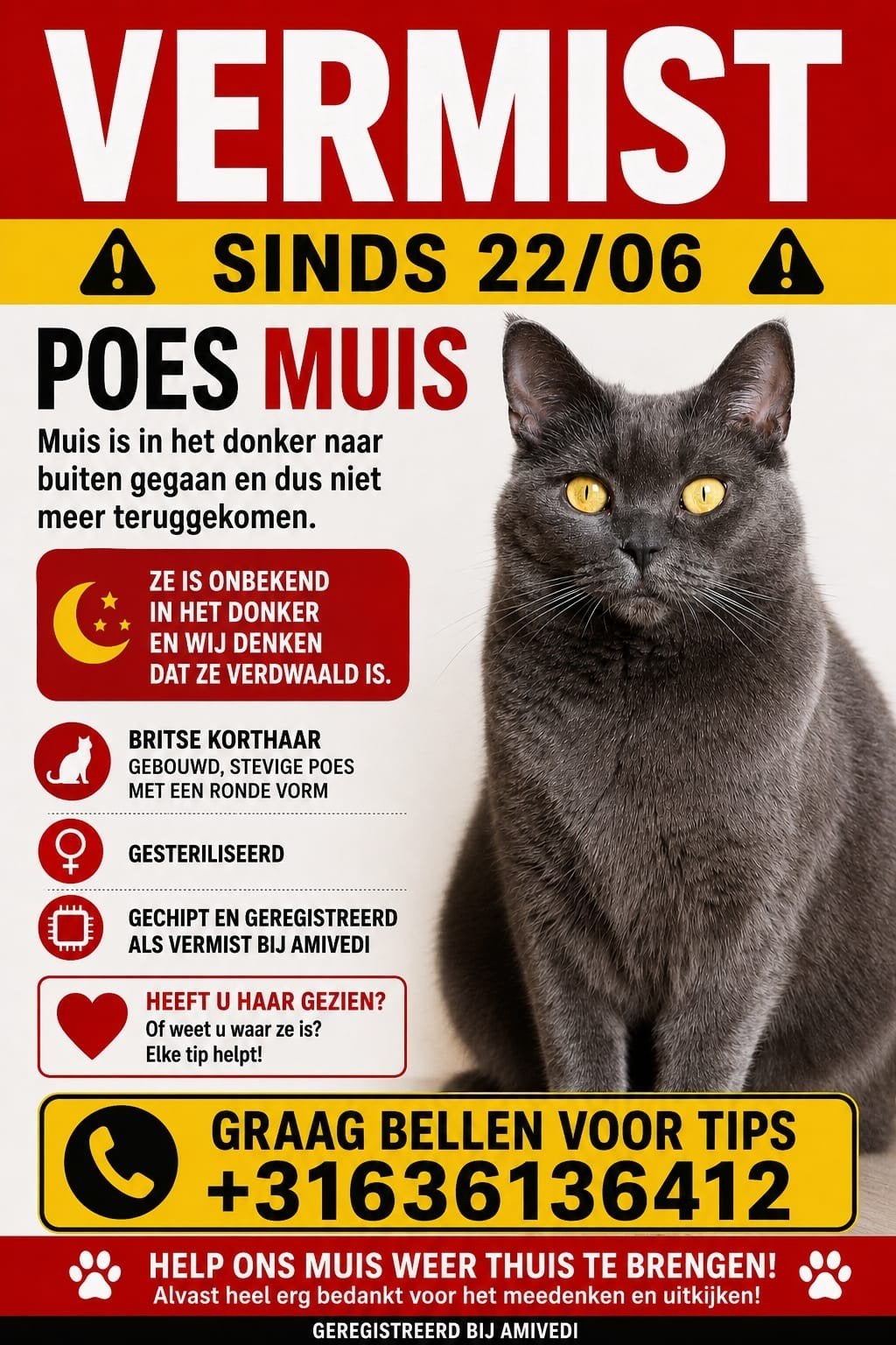 Vermist grijze poes genaamd Muis., Dieren en Toebehoren