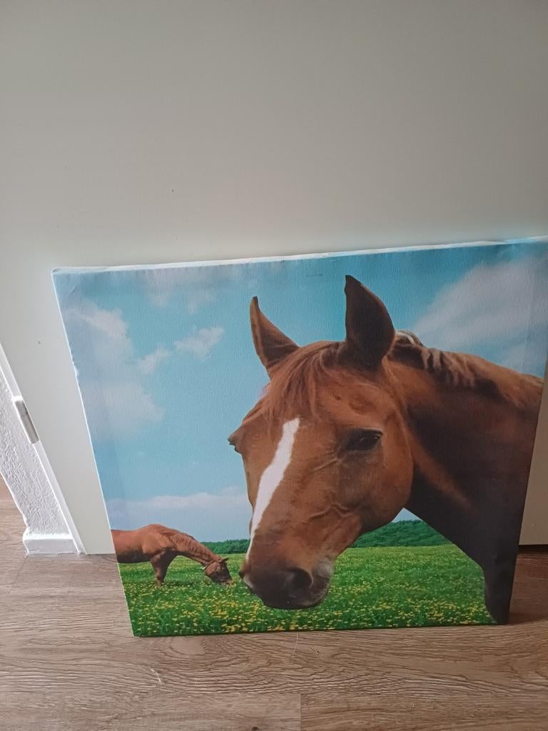 Paarden canvas, Ophalen, Minder dan 50 cm, Zo goed als nieuw, Schilderij