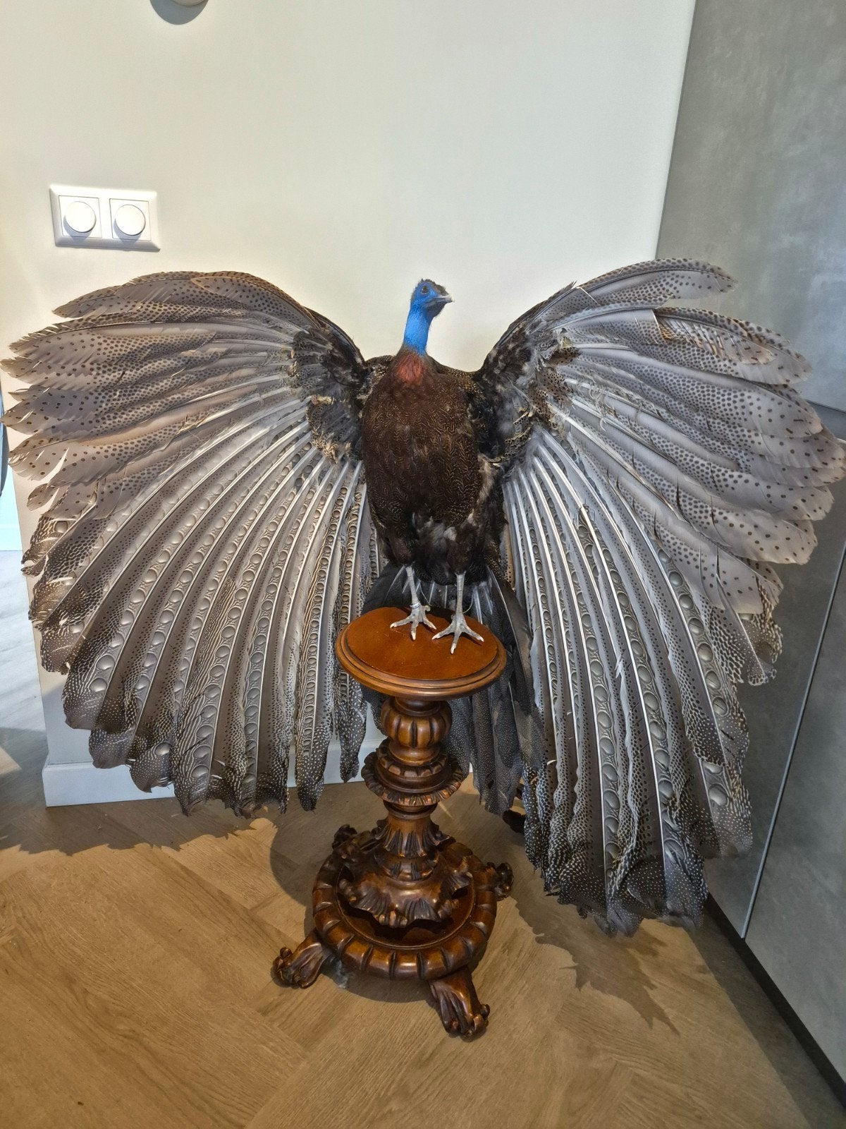 Zeldzame Opgezette Grote Argusfazant op Zuil Taxidermy, Ophalen, Zo goed als nieuw, Vogel, Opgezet dier