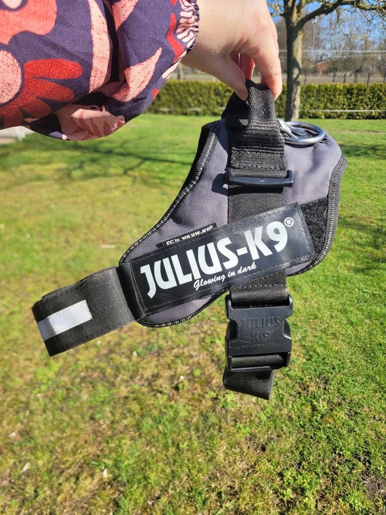 Julius K9 tuigje, Ophalen of Verzenden