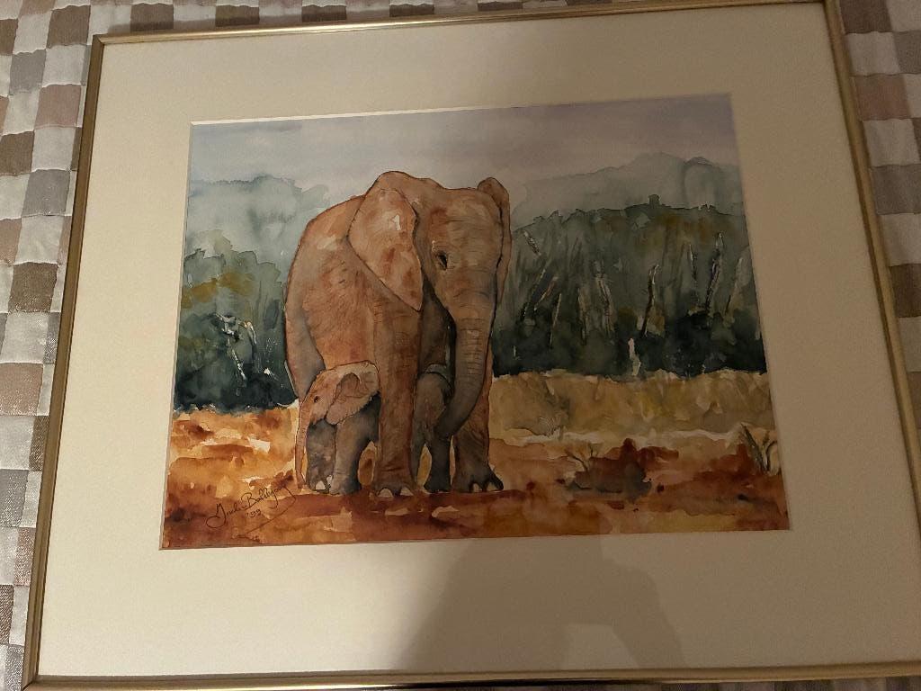 Aquarel olifant, Ophalen