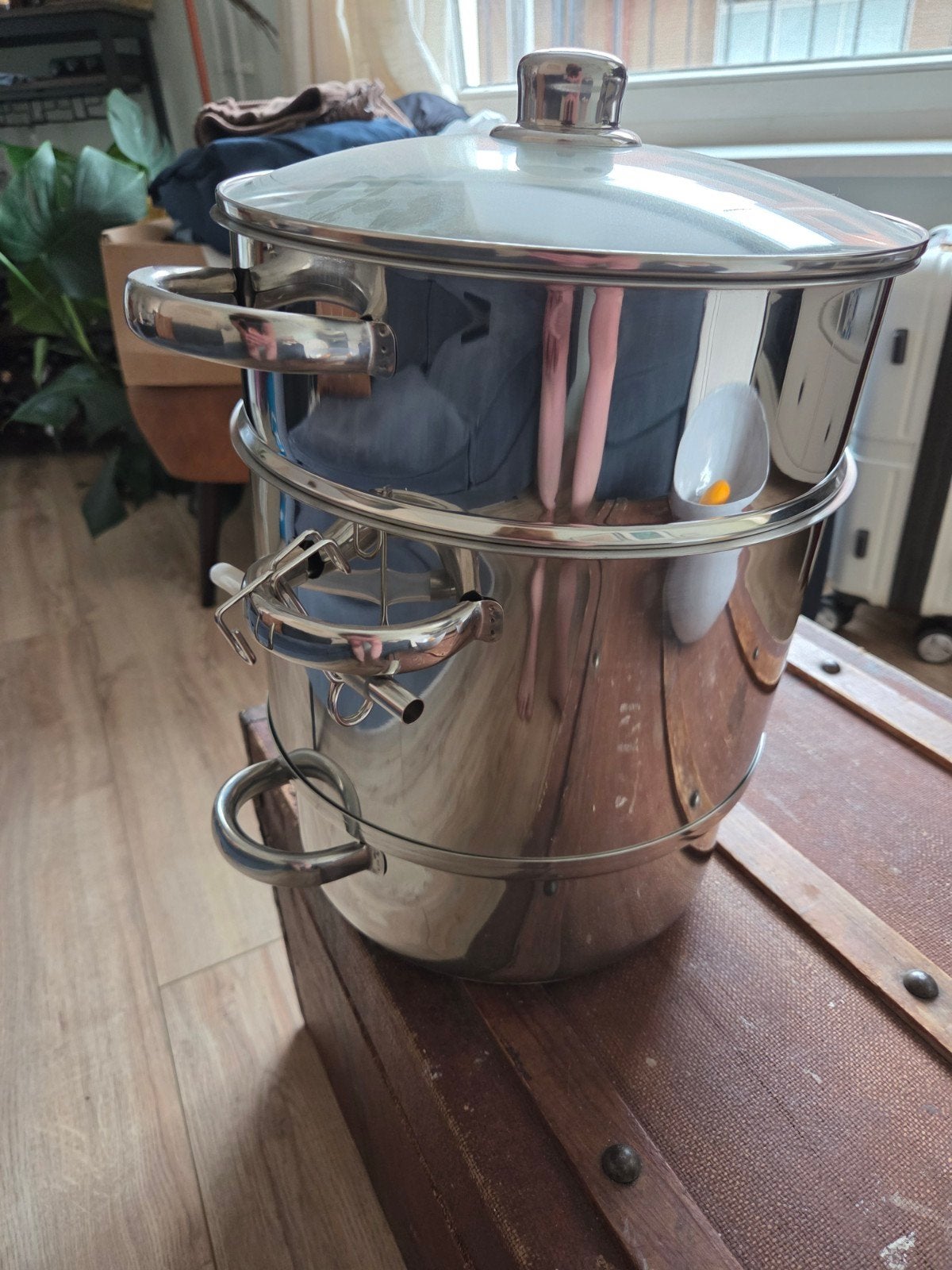 RVS Ontsapper - Sapcentrifuge voor fruit en groenten, Ophalen, Nieuw