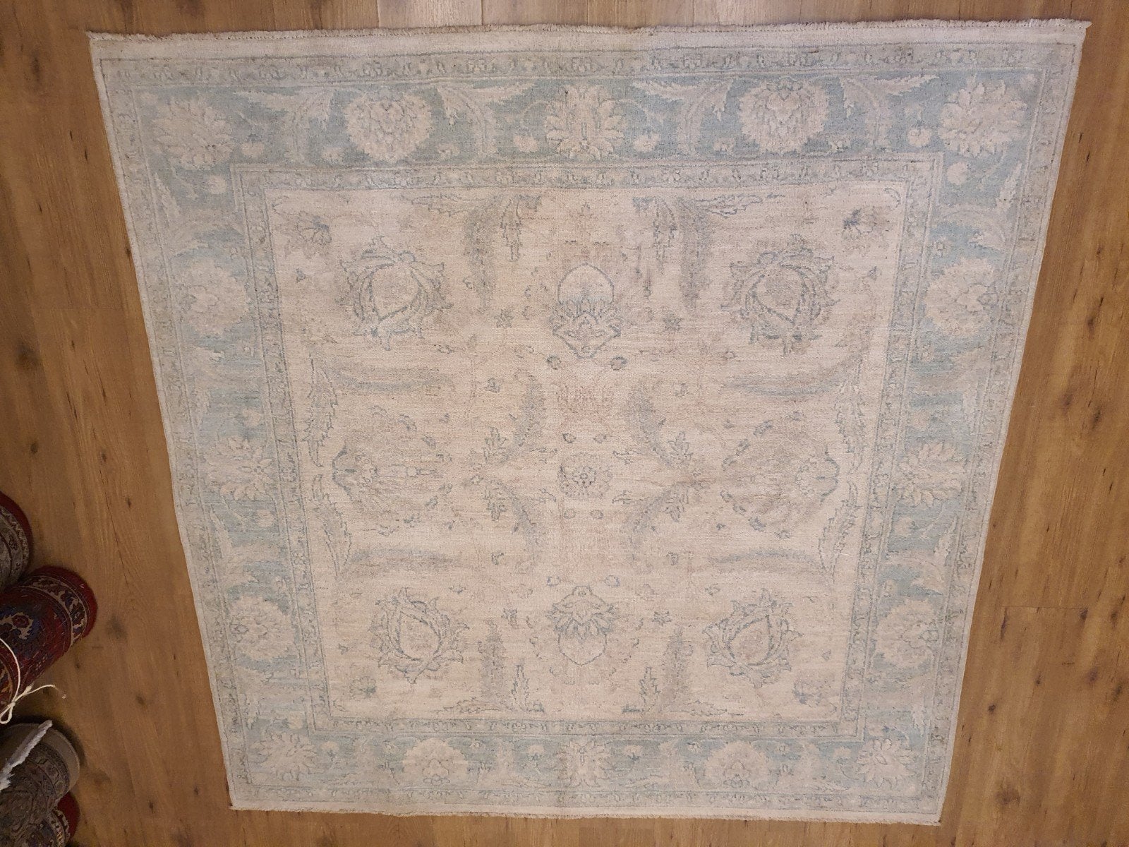 Nieuw handgeknoopt oosters tapijt ziegler 186x181