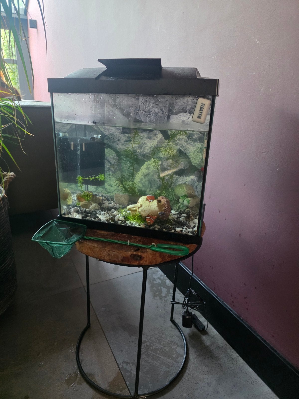 aquarium 20L, Ophalen, Inclusief toebehoren, Zo goed als nieuw, Gevuld zoetwateraquarium