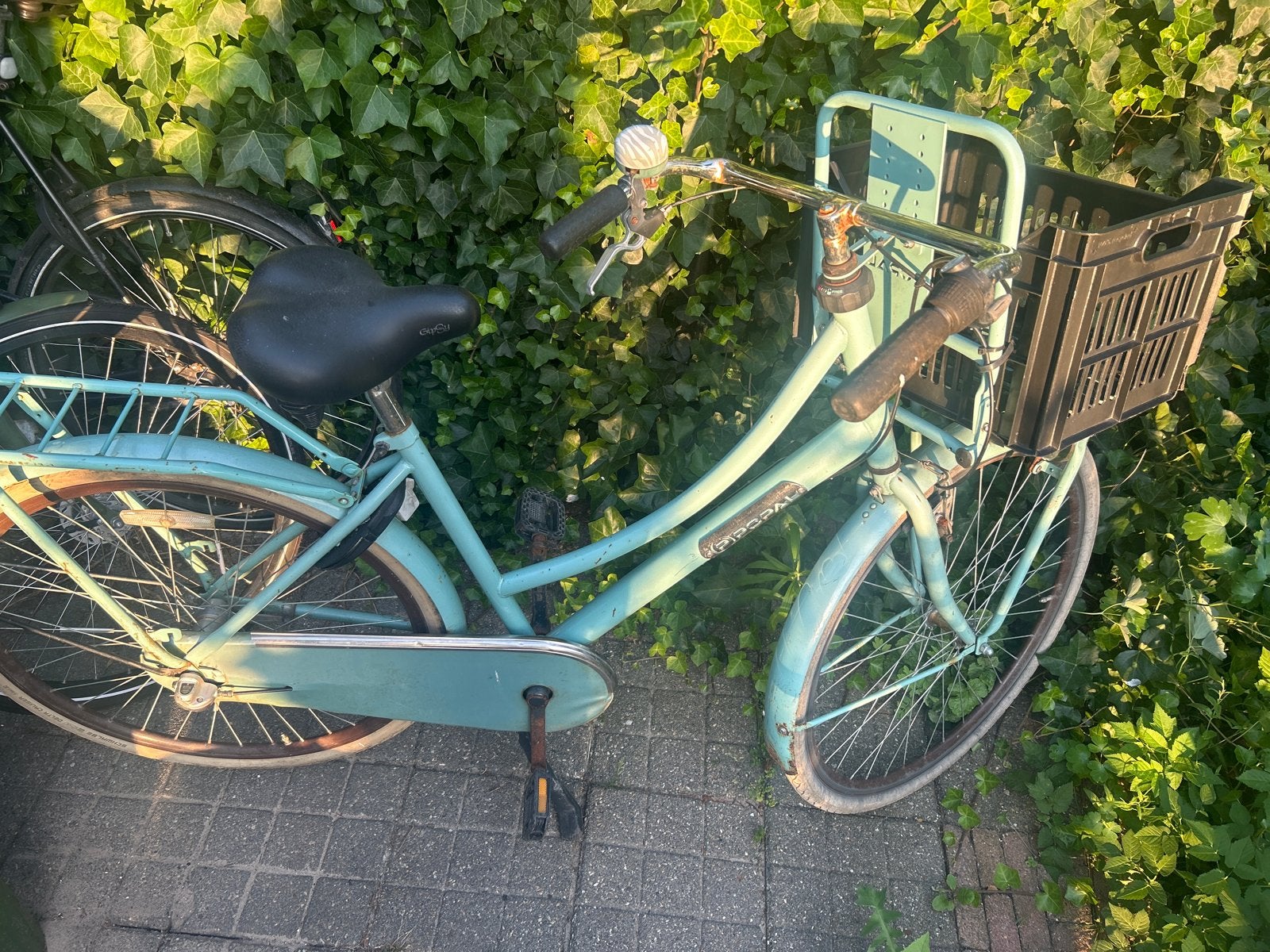 Popal meiden/  damesfiets met mand -, Terugtraprem, Gebruikt, 50 tot 53 cm, Ophalen