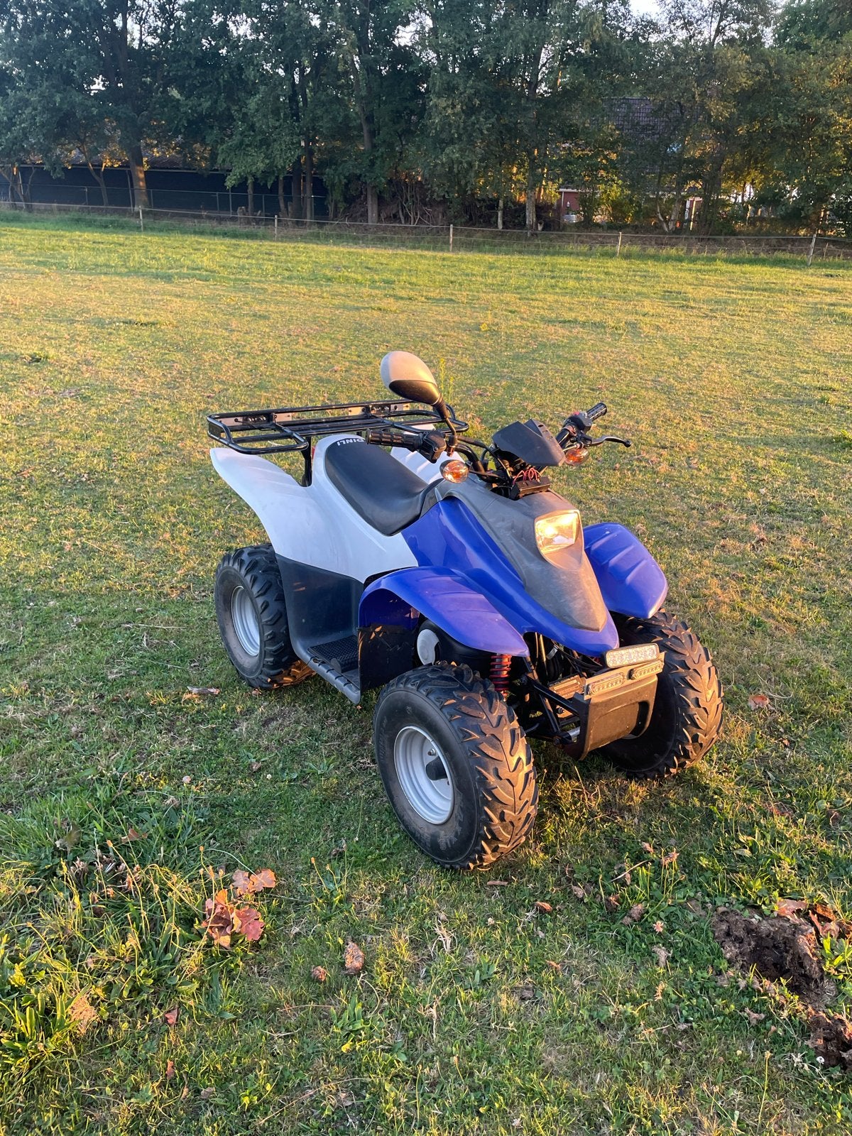 50cc Quad, Fietsen en Brommers, Minibikes, Midibikes en Pitbikes, Ophalen
