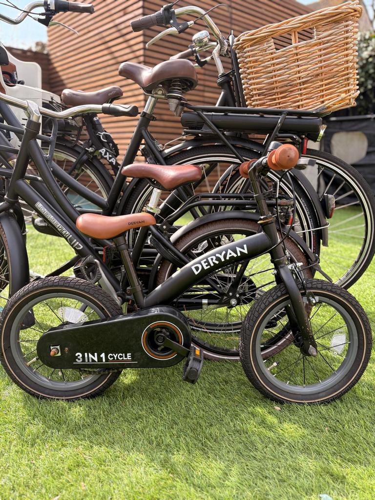 Elektrische dames fietsen, zitje, kinderfiets kleuter fiets, Ophalen, Zo goed als nieuw, 20 inch of meer
