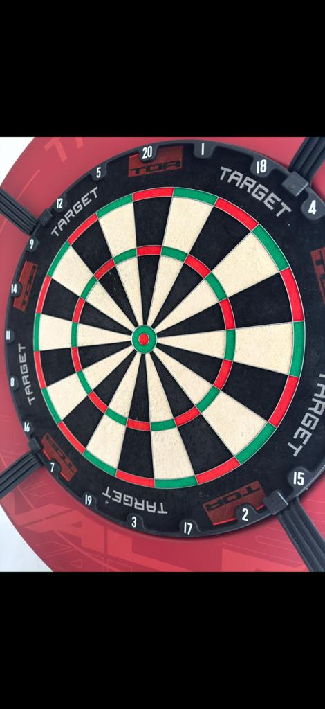 Complete dart setup met opvouwbare oche & geluidisolatie, Ophalen, Gebruikt