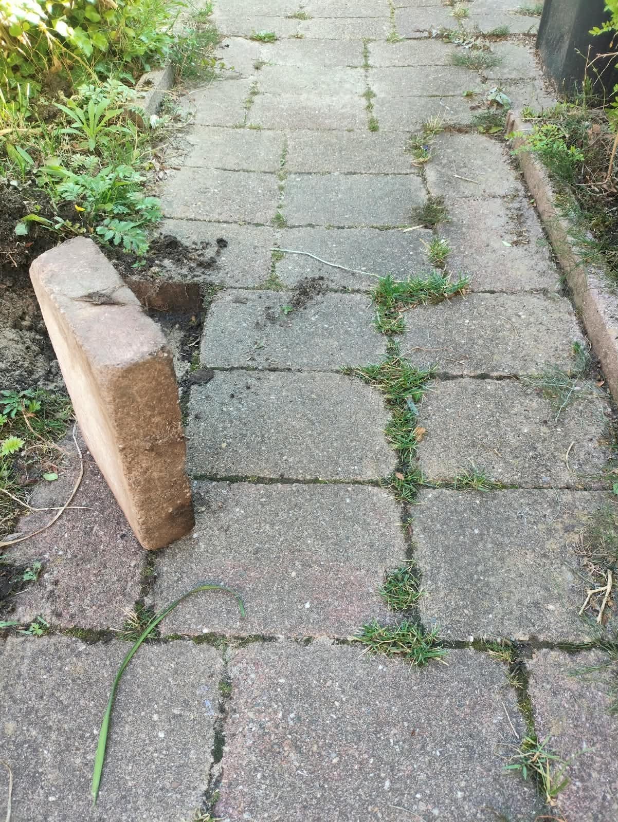 Gratis af te halen: ca. 40 m² gebruikte terracottategels, Tuin en Terras, Tegels en Klinkers, Overige materialen, Gebruikt, Ophalen of Verzenden
