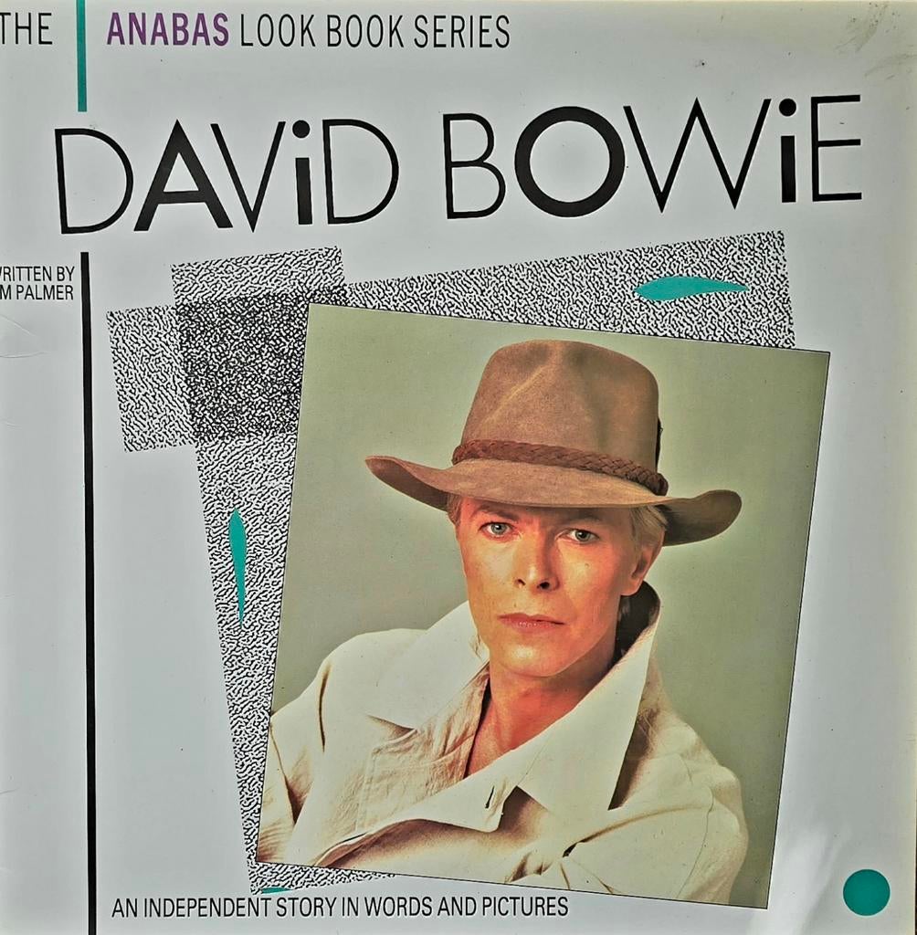 DAVID BOWIE: The Anabas Look Book Series - Woorden & Beelden, Boeken, Muziek, Ophalen of Verzenden, Gelezen, Artiest