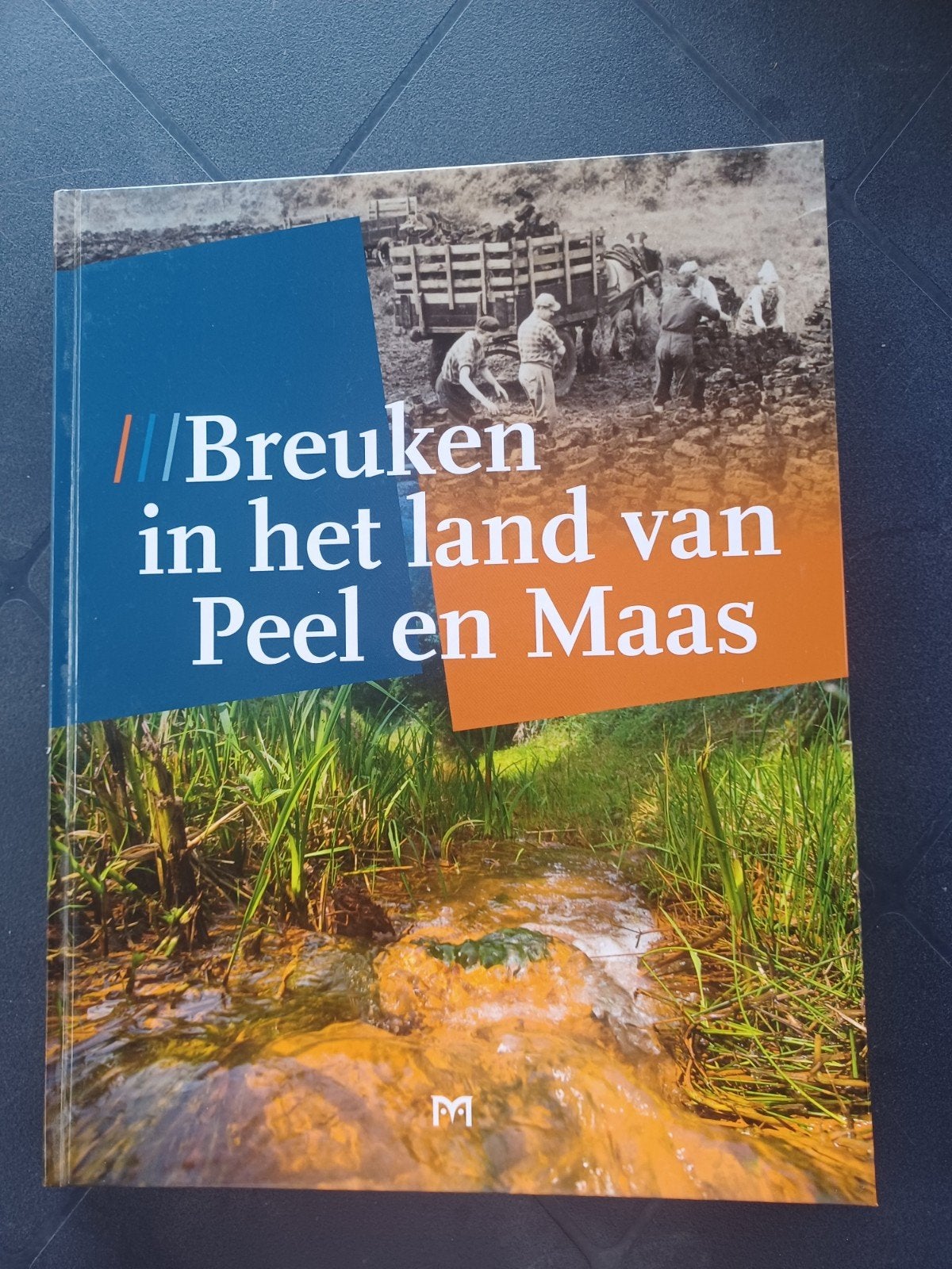 Boek Breuken in het land van Peel en Maas, Ophalen of Verzenden, 20e eeuw of later, Zo goed als nieuw