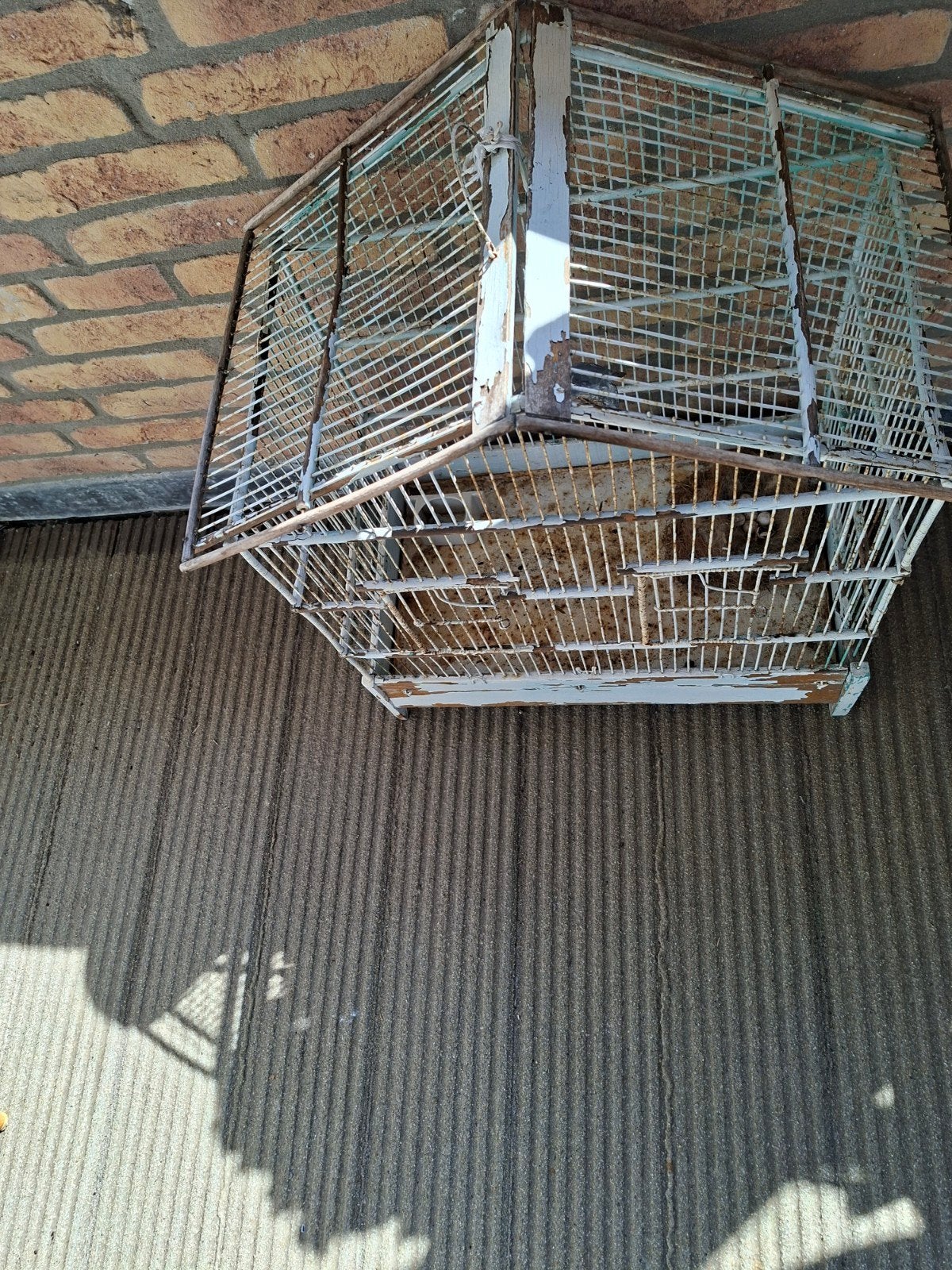 Vogel kooy, Antiek en Kunst, Ophalen of Verzenden