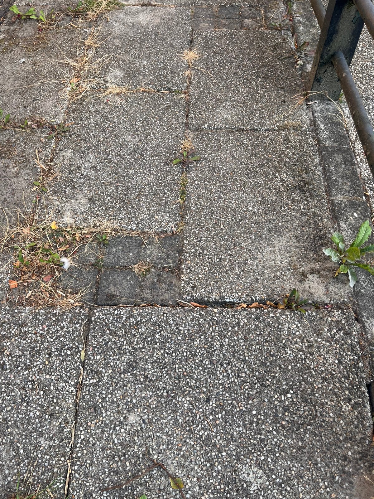 Gratis afhalen: 29 grindtegels, Tuin en Terras, Tegels en Klinkers, Ophalen, Gebruikt, Beton, Terrastegels