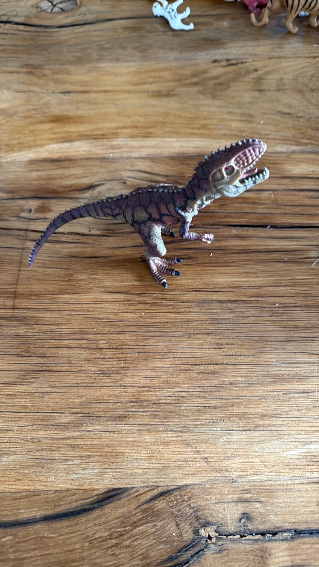 Leuke mooie dino, Ophalen of Verzenden, Nieuw