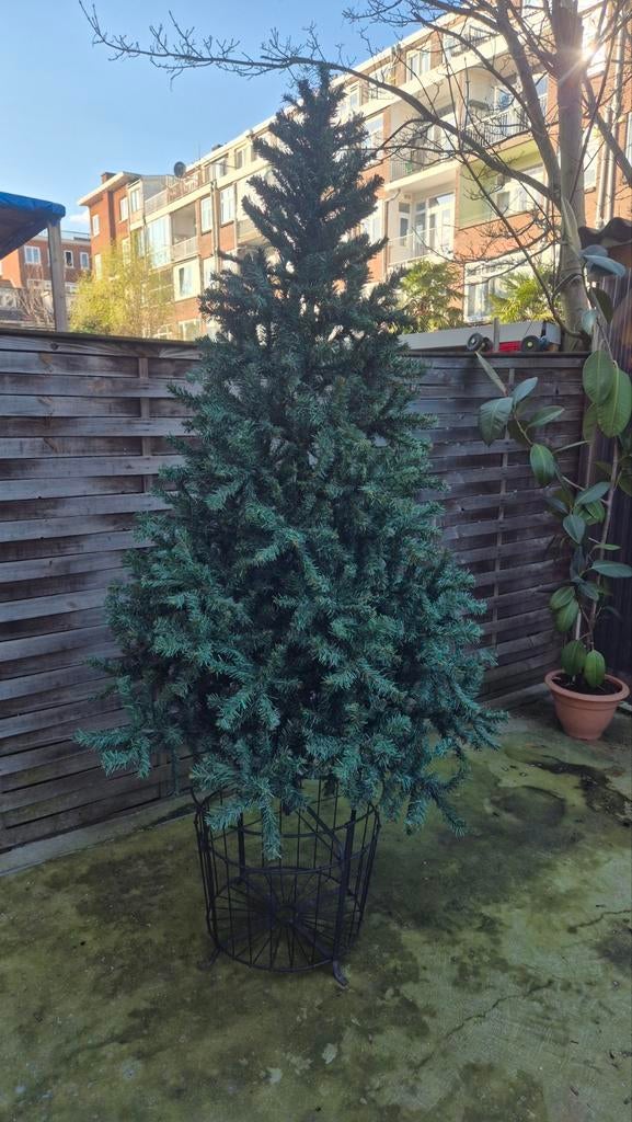 Kerstboom, Ophalen, Volle zon, Overige soorten