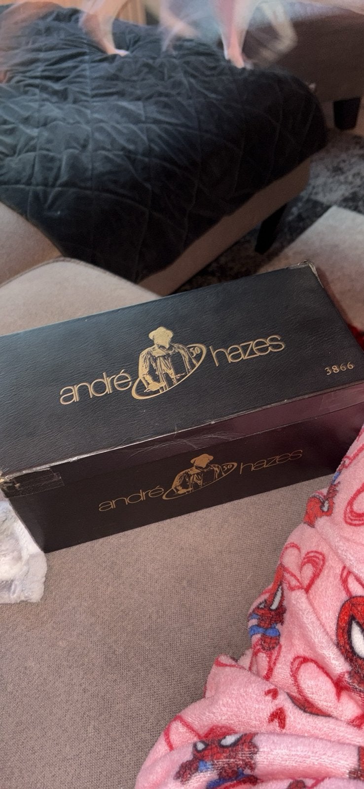 Andre hazes cd box, Verzamelen, Ophalen, Zo goed als nieuw, Overige
