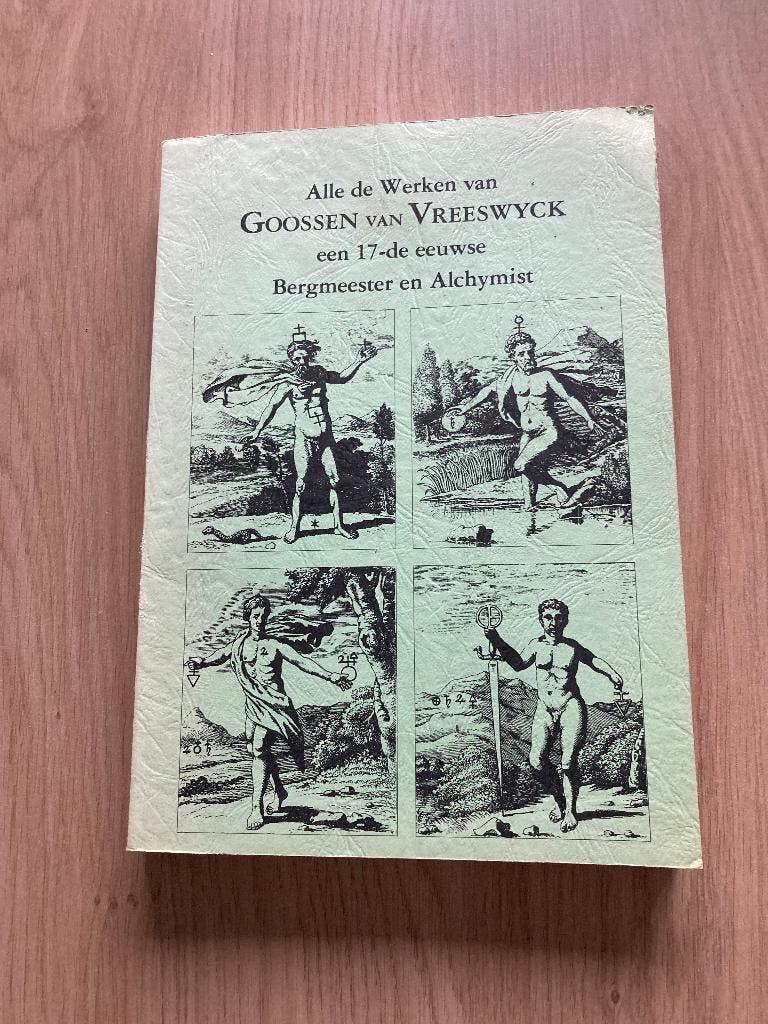 Boek Goossen van Vreeswyck, Ophalen of Verzenden, Gelezen