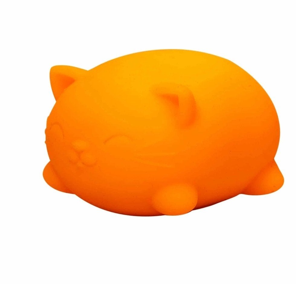 NeeDoh Cool Cats -  Oranje (Nieuw), Ophalen of Verzenden, Nieuw, Jongen of Meisje