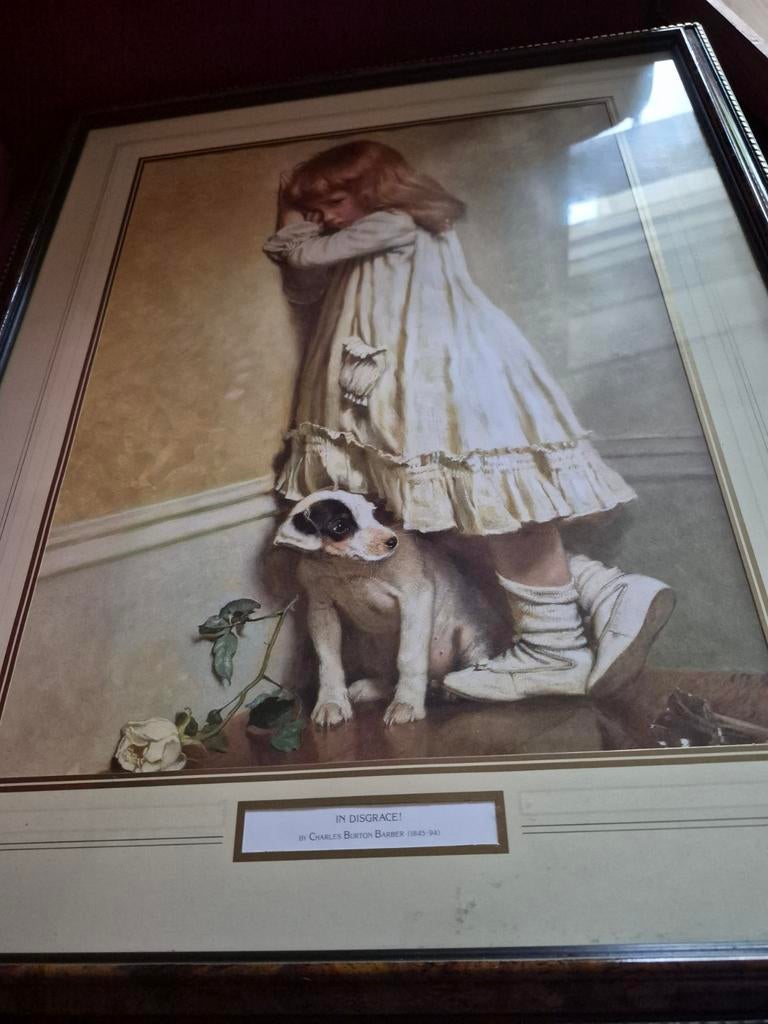 Leuke print mooi ingelijst 55cm hoog 45 cm breed, Ophalen of Verzenden