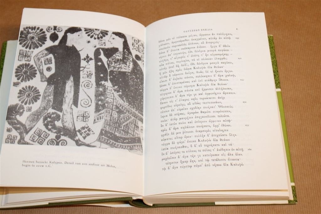 Odysseia Homerus — Grieks Origineel & Geïllustreerd [1966], Ophalen of Verzenden, Gelezen