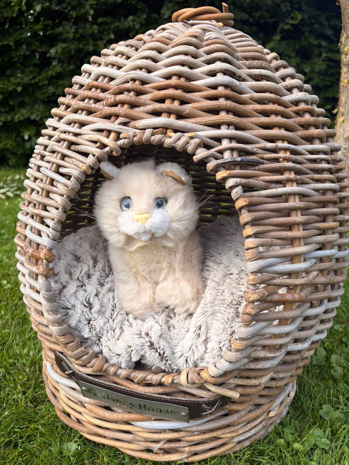 Grote kattenmand ‘ei’ van Happy House, Ophalen, Gebruikt, Riet
