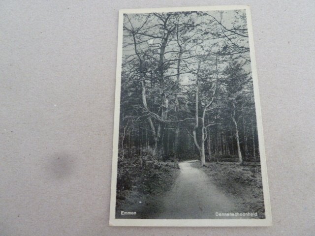 Emmen 1937 Dennenschoonheid, Ophalen of Verzenden, 1920 tot 1940, Gelopen, Drenthe