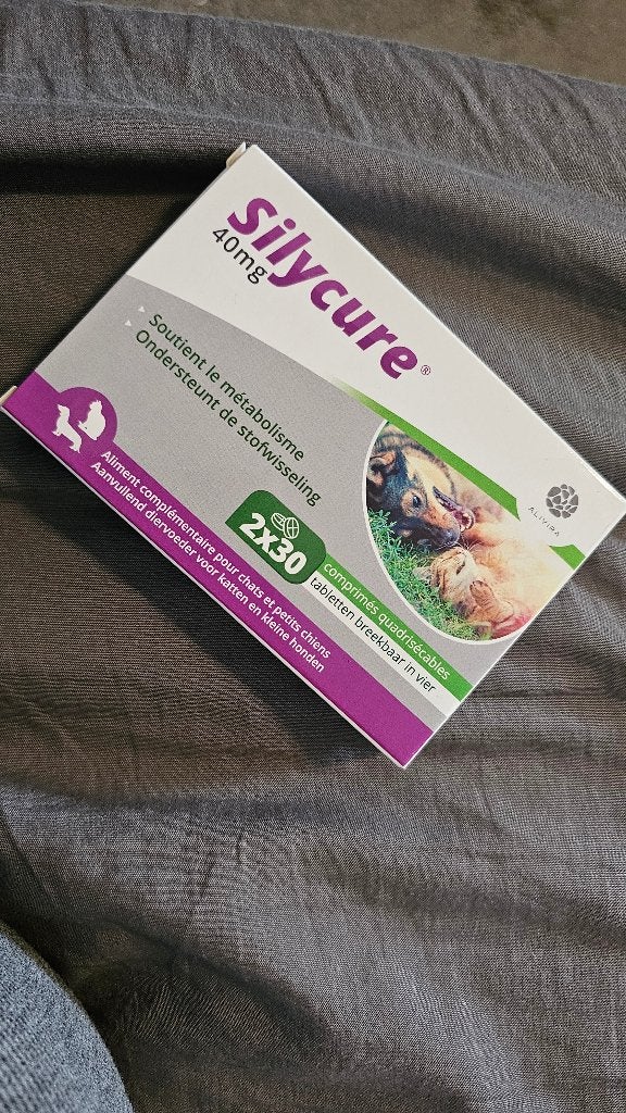 Silycure 40 mg - 60 tabletten Hond/Kat, Verzenden, Hond