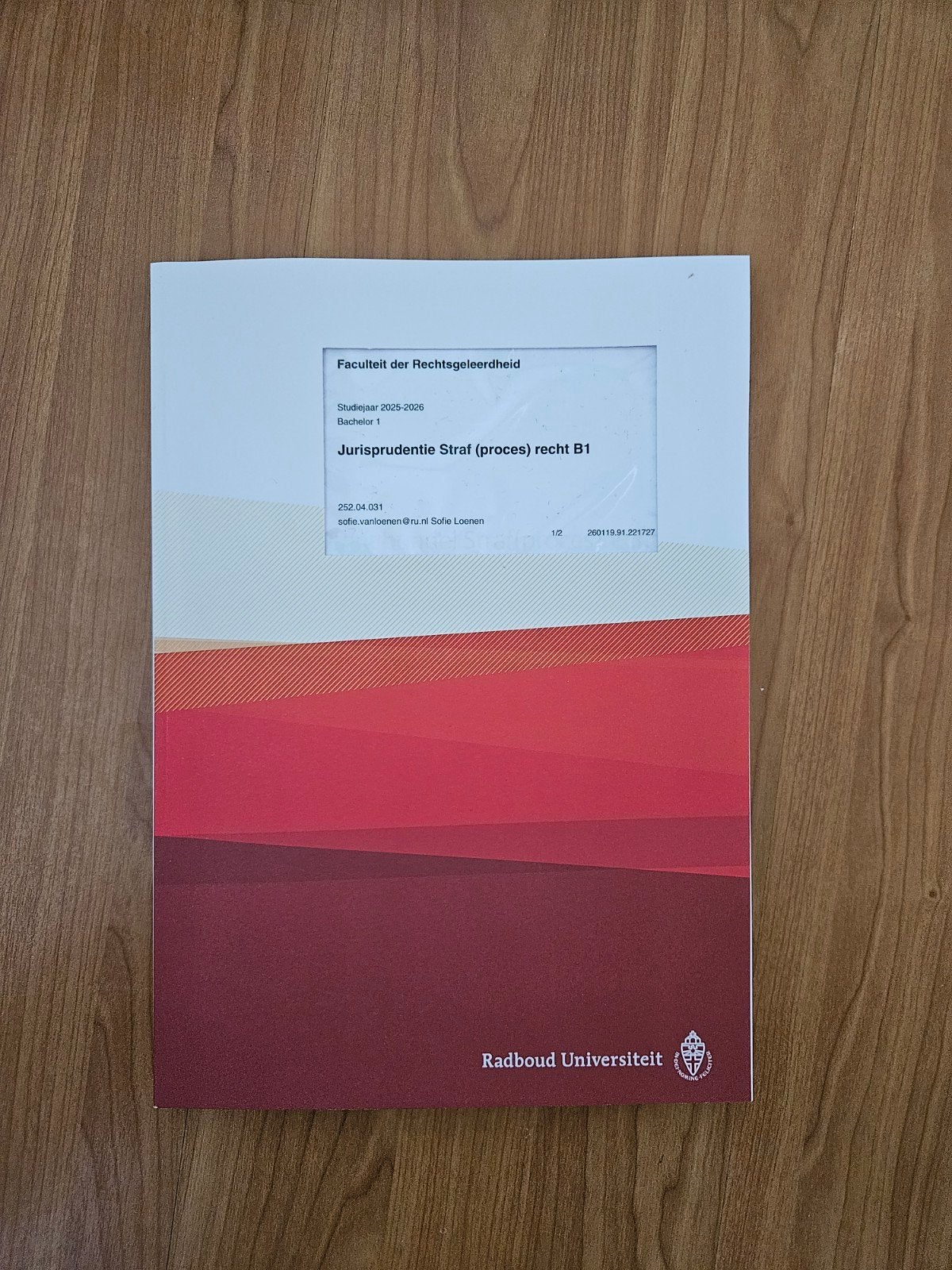 Jurisprudentie Straf(proces)recht B1 Radboud Universiteit, Boeken, Ophalen of Verzenden, WO, Gamma, Onbekend