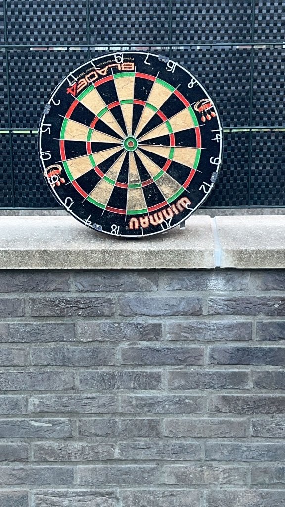 Dart boord, Ophalen of Verzenden, Gebruikt, Dartbord