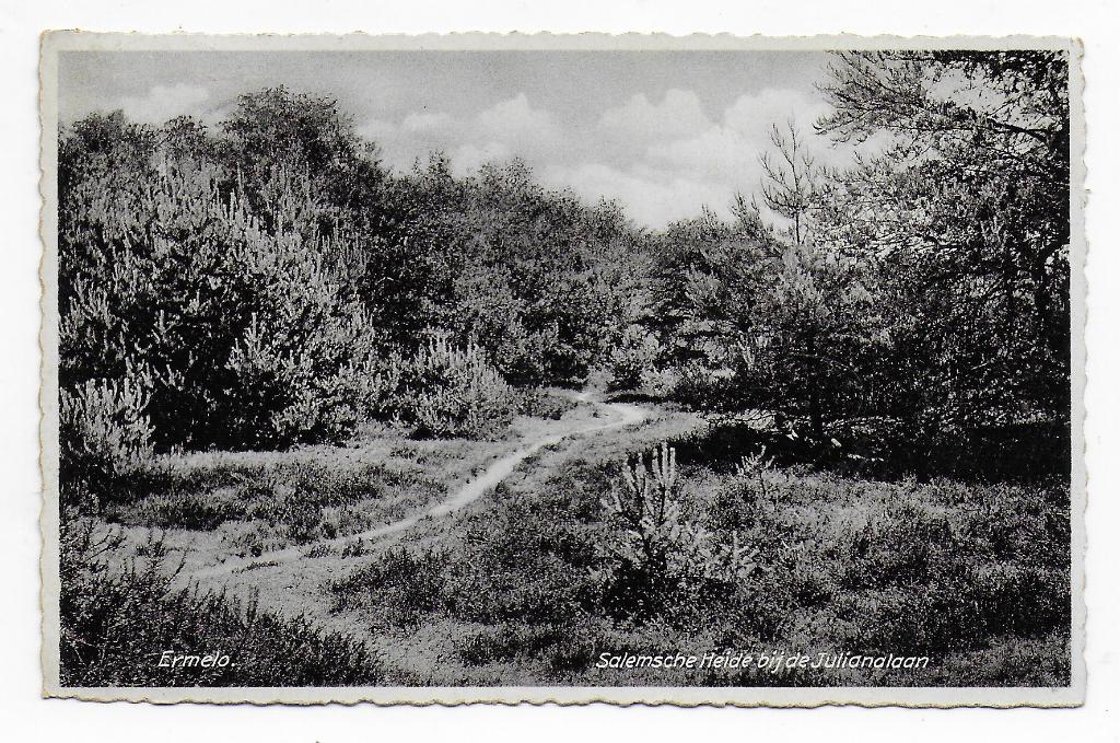 Ermelo Salemsche heide gelopen   Ansichtkaart    ( B8170), Ophalen of Verzenden, Voor 1920, Gelopen, Gelderland