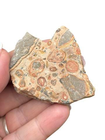 Luipaardjaspis ruwe steen - 37 gram, Ophalen of Verzenden, Nieuw