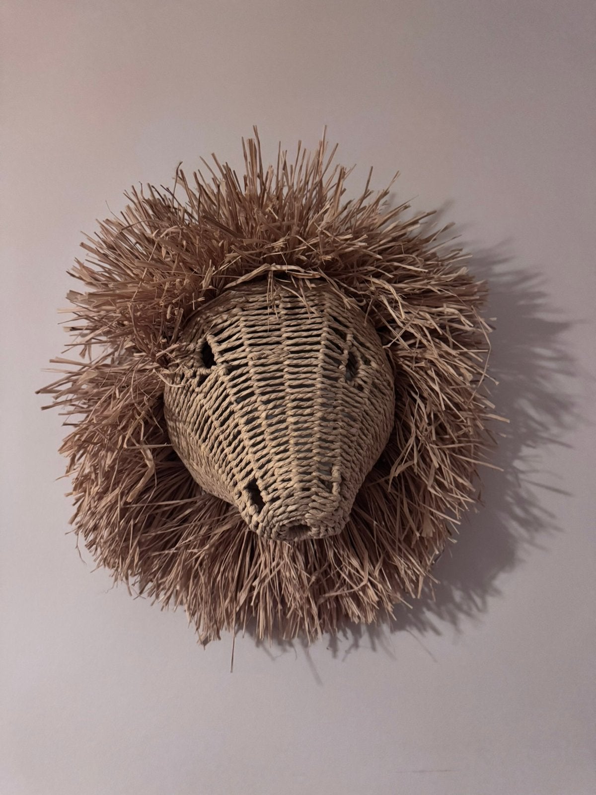 Rotan Leeuwenkop, Ophalen, Zo goed als nieuw