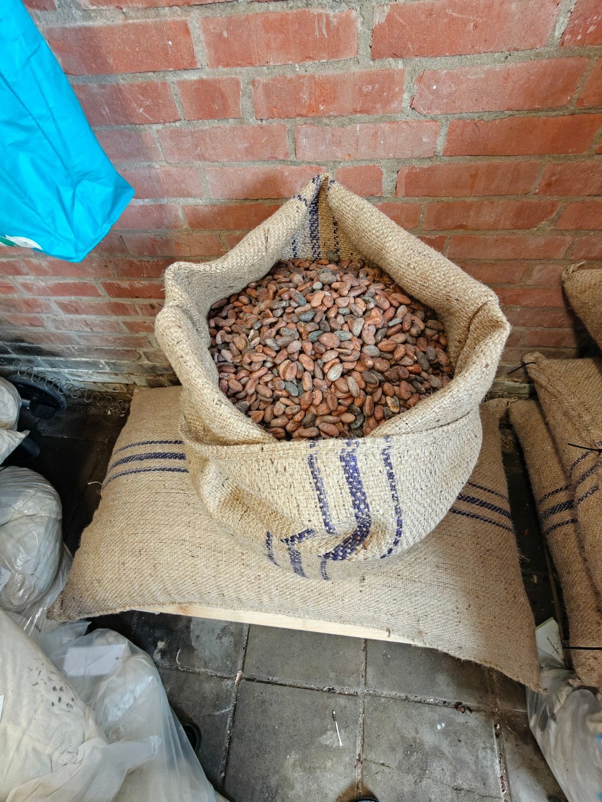 Cacao bonen ( Organic ) te koop, Diversen, Ophalen of Verzenden