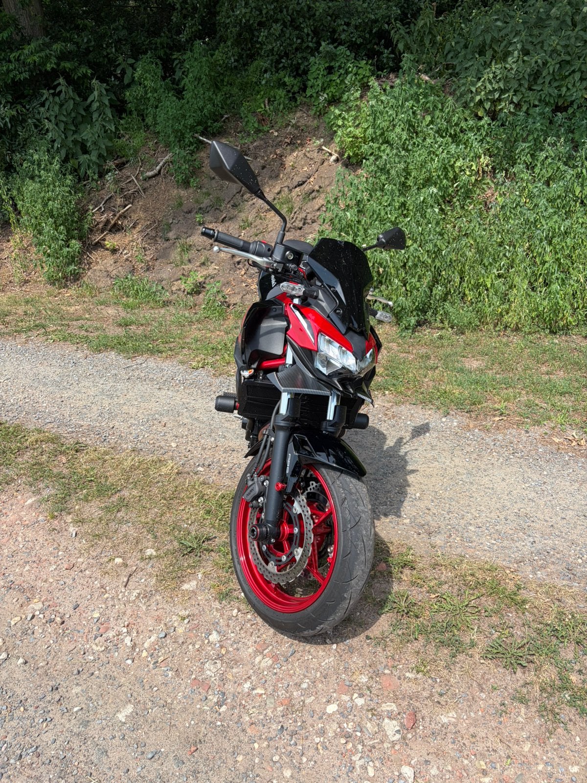 Kawasaki z650S, Particulier, Naked bike